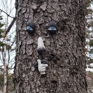 Meet your Posher, Lewis